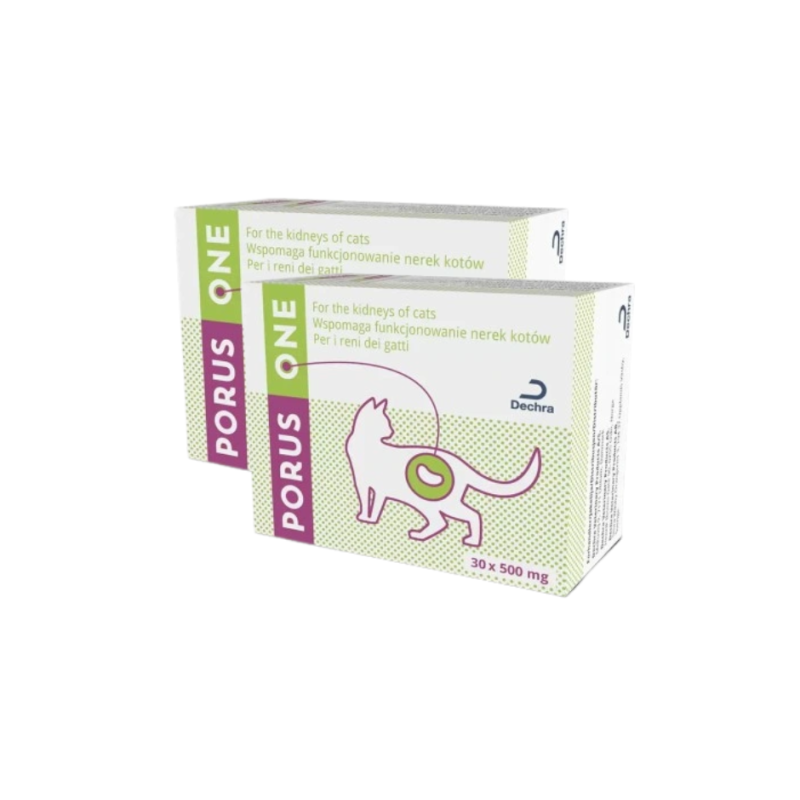 Zestaw 2szt Dechra preparat Porus One, sasze 30 x 500 mg