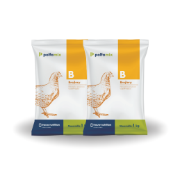 Polfamix B, dla brojlerów, 2 x 1 kg