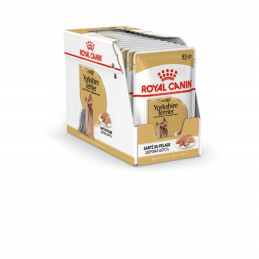 Royal Canin, Yorkshire Terrier, saszetka 12 x 85 g