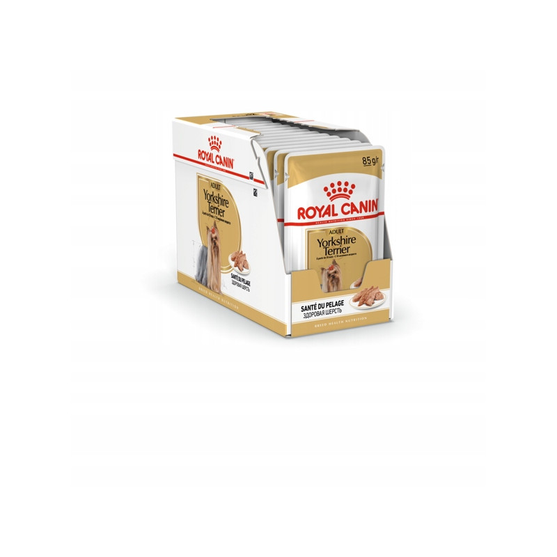 Royal Canin, Yorkshire Terrier, saszetka 12 x 85 g