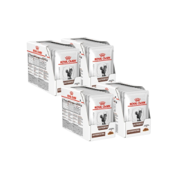 Royal Canin, Gastrointestinal, kot,  saszetka 48 x 85 g