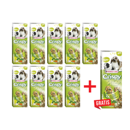 9+1 GRATIS! VERSELE LAGA Crispy Sticks, Kolba warzywna dla królika i świnki morskiej, 2 szt