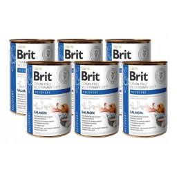 BRIT GF VET. DIETS DOG&CAT CAN RECOVERY 6 x 400g