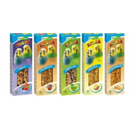 Zestaw kolb dla małych papug Nestor 10 szt mix smaków