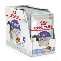 Royal Canin, FHN Sterilised Jelly, 12 x 85 g