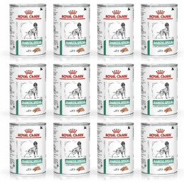 Royal Canin VD, pies, Diabetic, 12 x 410 g