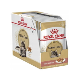 Royal Canin, Maine Coon, sos, 12 x 85 g