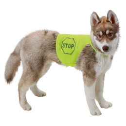Kerbl, Kamizelka odblaskowa dla psa, 25 cm