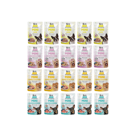 BRIT CARE MINI saszetki dla psa 20x85g mix smaków