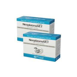 Biowet Puławy NeoplasmaVET, 2 x 40 kapsułek