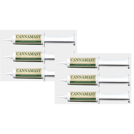 zestaw 6 x CANNAMAST 23 ml tuba dowymieniowa bezkarencyjna