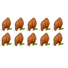 ZESTAW 10 x UCHO WIEPRZOWE PETMEX