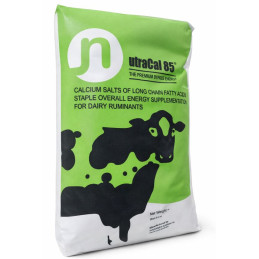 NUTRACAL CS  (25/1300)