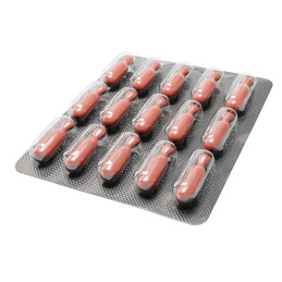 BIOWET Olderm 60 kapsułek , suplement dla psów, kotów i małych zwierząt futerkowych