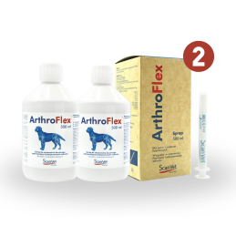 ScanVet ArthroFlex 2 x 500 ml syrop na stawy
