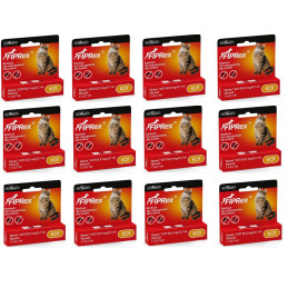 Vet Agro, Fiprex, kot x12 zestaw roczny na kleszcze dla kota