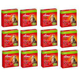 Vet Agro FIPREX DUO KOT x12 (zapas na 12 miesięcy)