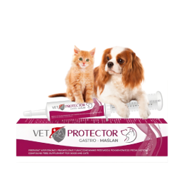 Vet Protector, Gastro, maślan, 60 ml