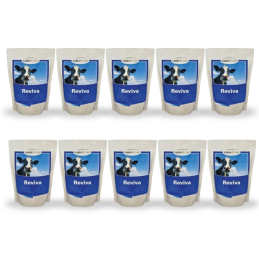 Trouw Nutrition, Reviva, pójło dla krów mlecznych, 10 x 1 kg