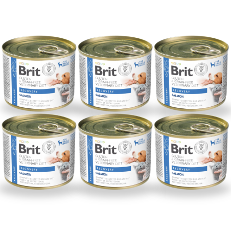 Brit VD, pies, kot, recovery, puszka 6 x 200 g