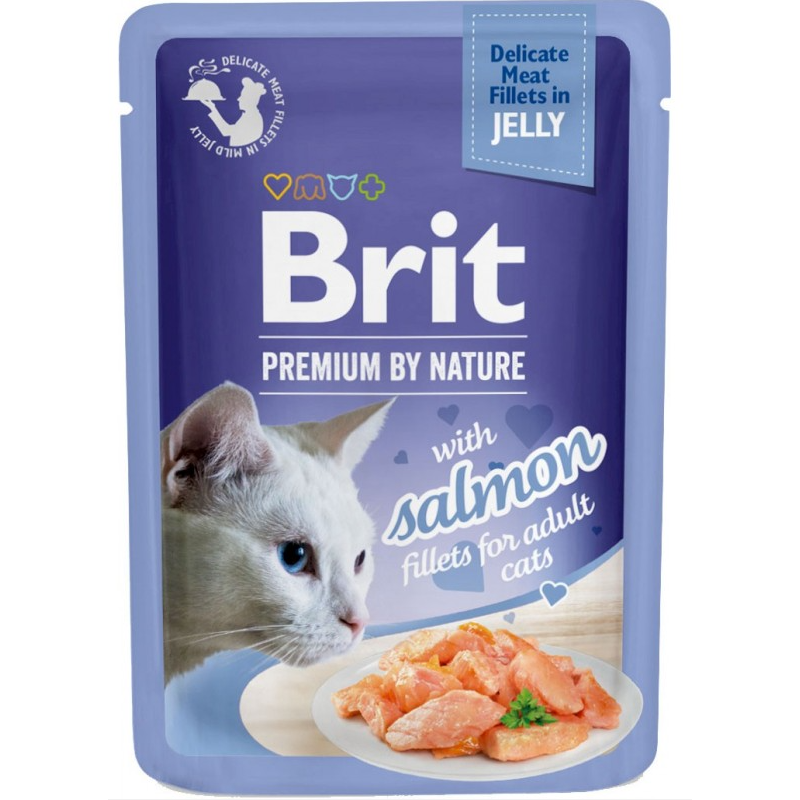 BR.CAT POUCH 85g JELLY FILLETS WITH SALMON