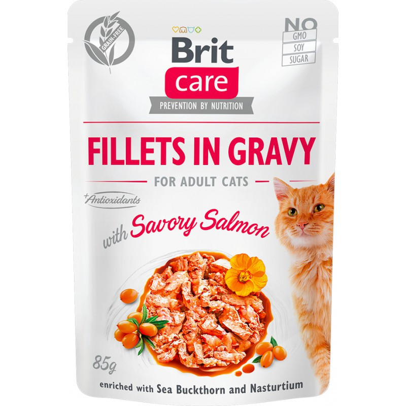 BR.CARE CAT FG SAVORY SALMON POUCH 85g