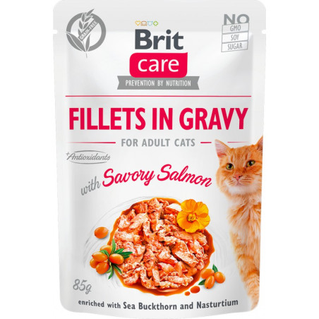 BR.CARE CAT FG SAVORY SALMON POUCH 85g