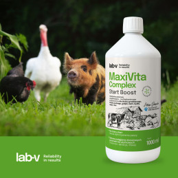 Lab-V, MaxiVita Complex Start Boost, 1000ml