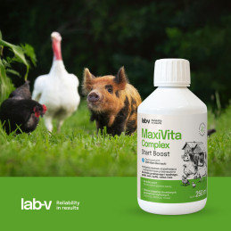 Lab-V, MaxiVita Complex Start Boost, 250ml