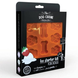 The DOG CUISINE, pies, przysmak lodowy dla psów