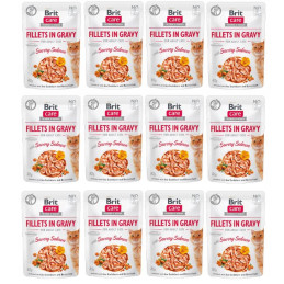 12 x BRIT CARE CAT FG SAVORY SALMON POUCH 85g