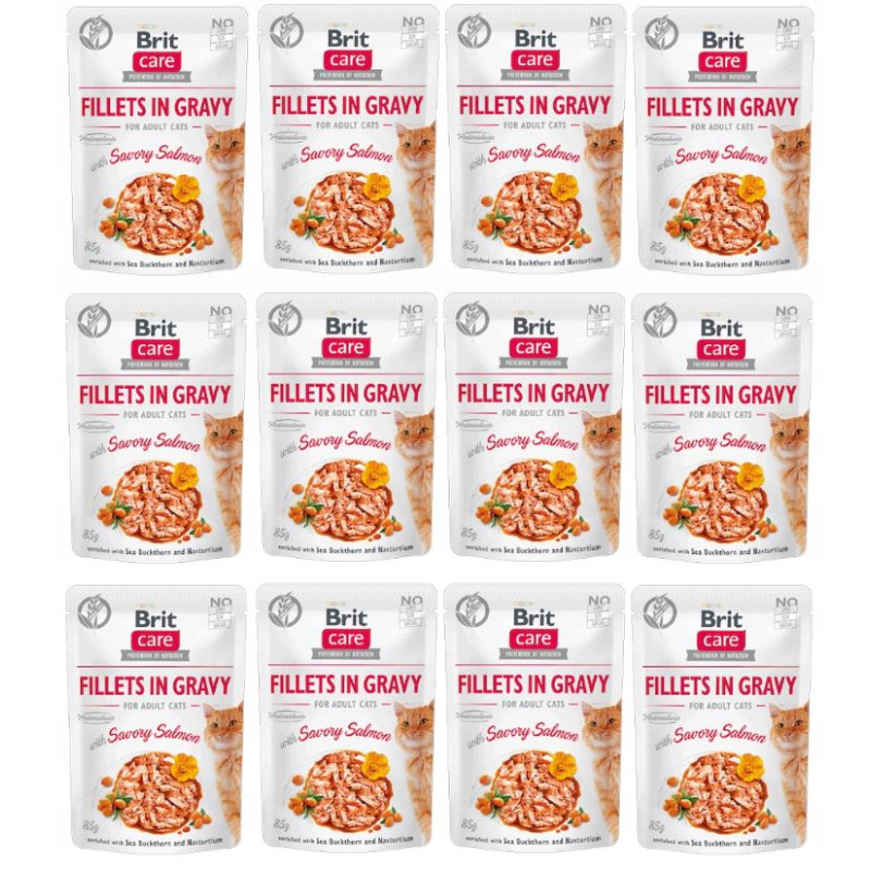 12 x BRIT CARE CAT FG SAVORY SALMON POUCH 85g