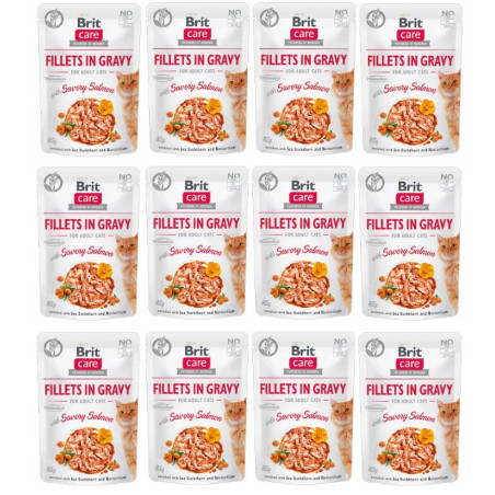 12 x BRIT CARE CAT FG SAVORY SALMON POUCH 85g