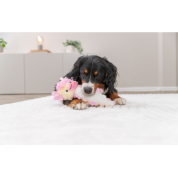 Trixie – Aksolotl dla Psa | Pluszowa Zabawka | 36 cm