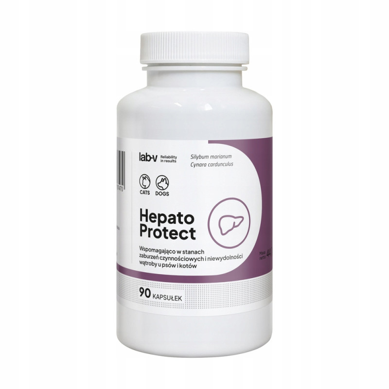 Lab-v Hepato Protect – Wsparcie Wątroby dla Psów i Kotów | 90 kapsułek