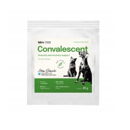 Lab-v Convalescent – Wsparcie Regeneracji dla Psów i Kotów | 20 g