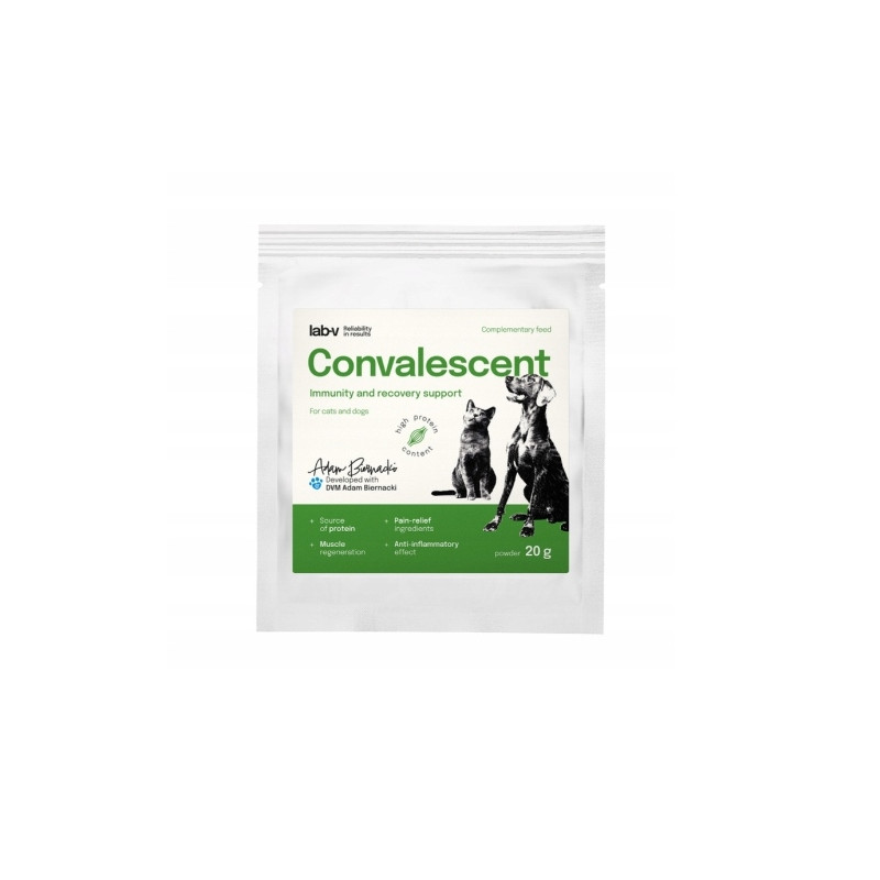 Lab-v Convalescent – Wsparcie Regeneracji dla Psów i Kotów | 20 g