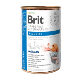 BRIT GF VET. DIETS DOG&CAT CAN RECOVERY 400g