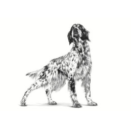 Royal Canin VD, pies, Renal, 410 g