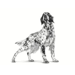 Royal Canin VD, pies, Renal Special, 410 g