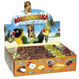 Nestor Bombonierka dla średnich papug, 12 kolb