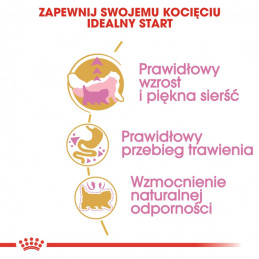 Royal Canin, kot Persian Kitten 0,4 kg dla kociąt rasy perskiej
