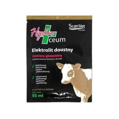 Hydroceum, elektrolity, saszetka 50 ml