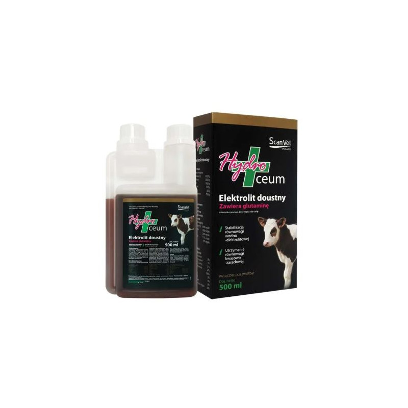 Hydroceum, elektrolity,  500 ml