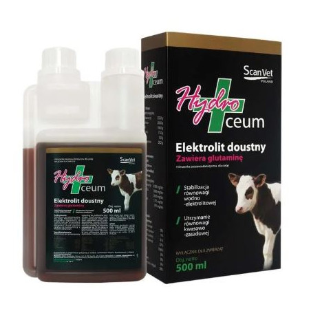 Hydroceum, elektrolity,  500 ml