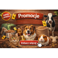 Promocje